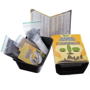 Cacti growkit - Peruvian torch - trichocereus peruvianus