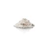 DPT Powder